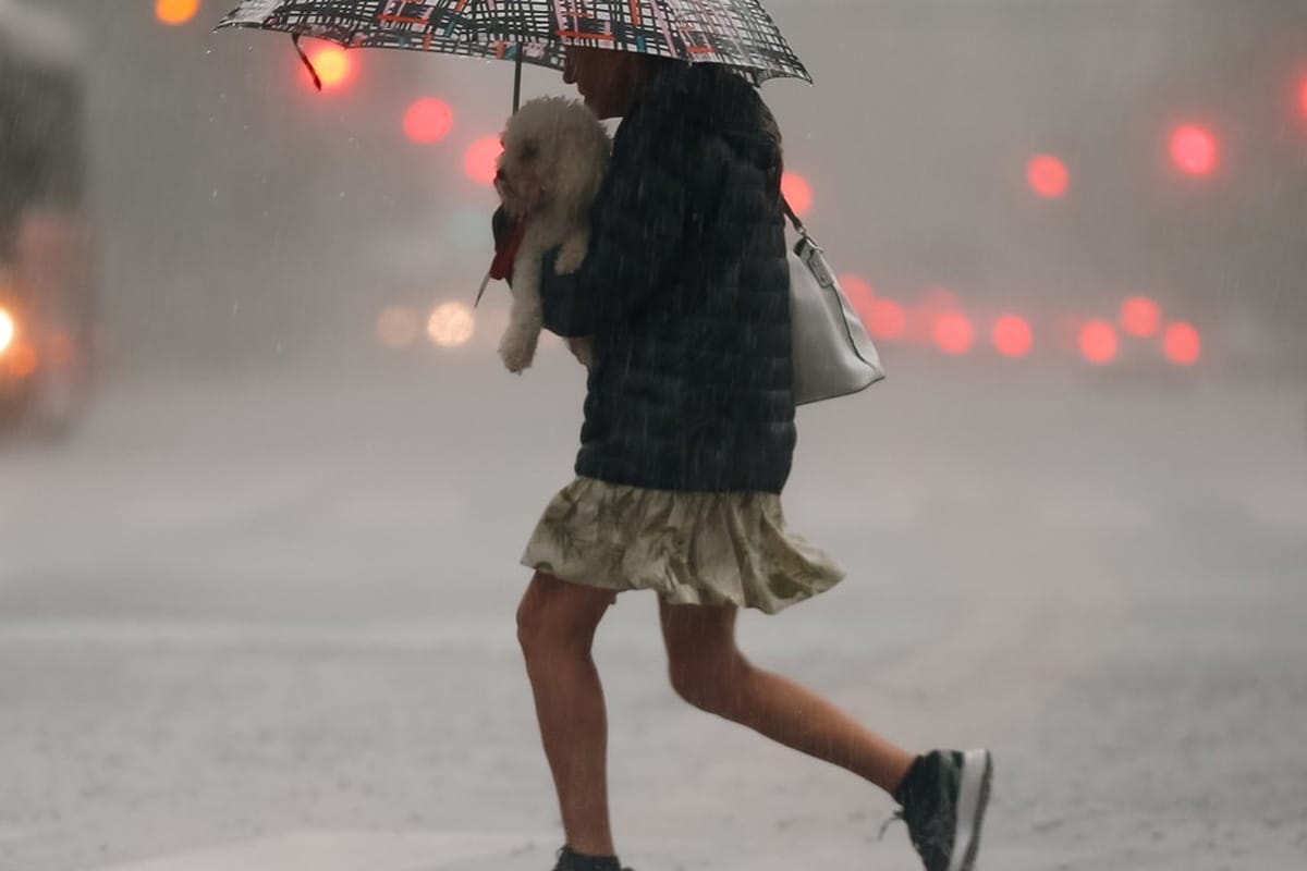 Una mujer corriendo bajo la lluvia en una ciudad sosteniendo un perro.