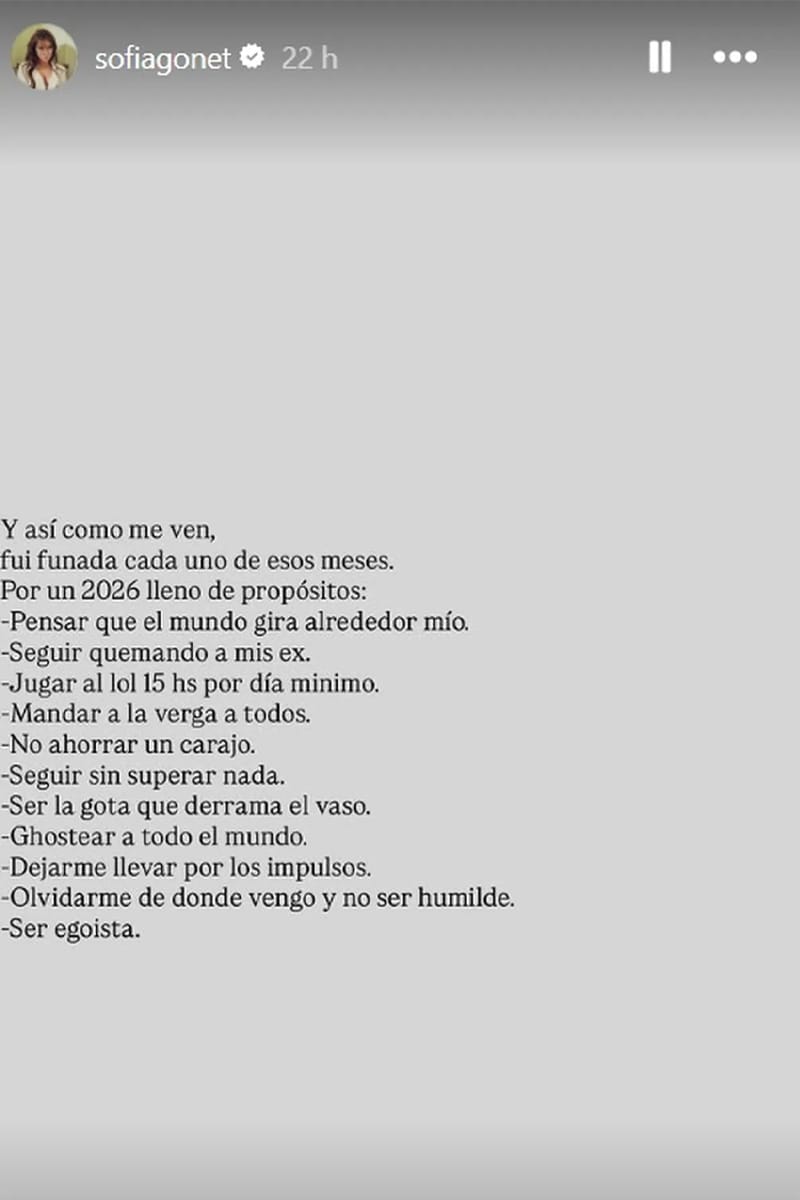 Historia en Instagram de Sofía Gonet "La Reini" con su resumen del 2025.